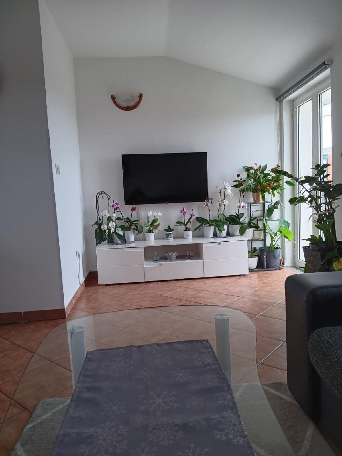 Apartman Sara Rovinj Eksteriør bilde